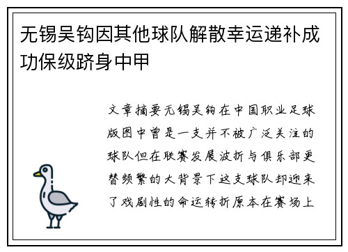 无锡吴钩因其他球队解散幸运递补成功保级跻身中甲